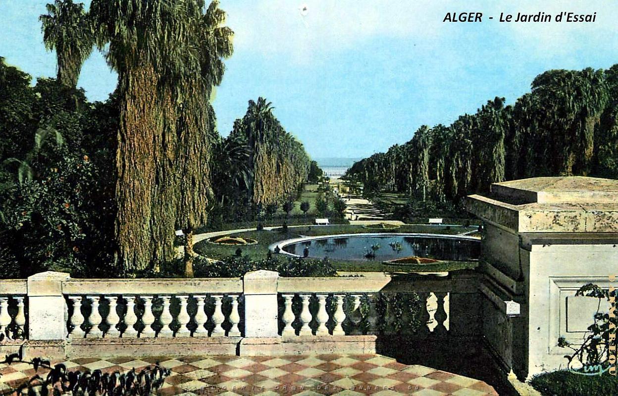 Alger - Jardin d'essai    .jpg